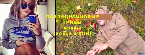 Альфа ПВП Елабуга