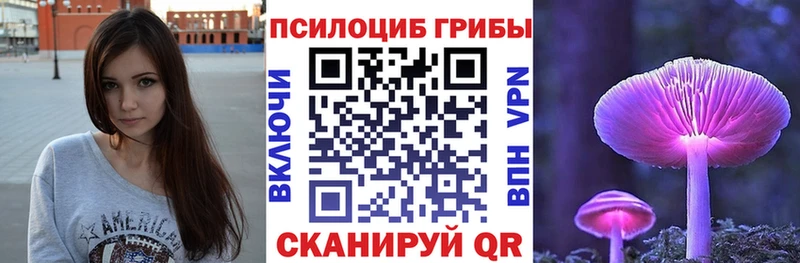 Псилоцибиновые грибы мицелий  где купить наркотик  KRAKEN сайт  Змеиногорск 